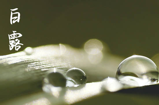 白露节气下雨有什么说法